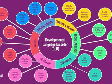 DLD information graphic