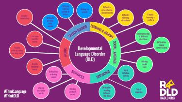 DLD information graphic